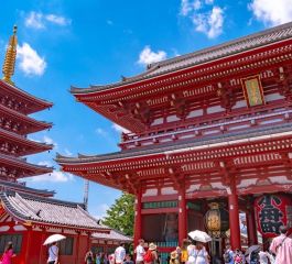 JAPONYA-KORE TURU