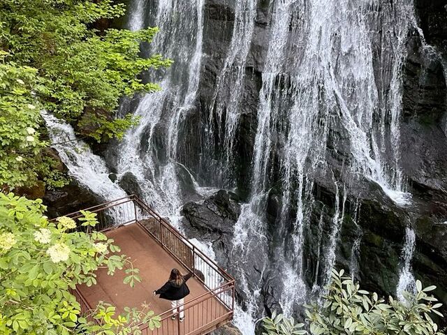 ŞİLE&AĞVA&DÜZCE ŞELALELER TURU