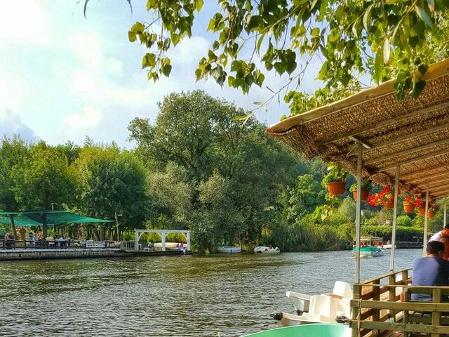 ŞİLE&AĞVA&DÜZCE ŞELALELER TURU