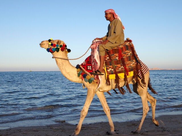 Sharm El Sheikh Turu