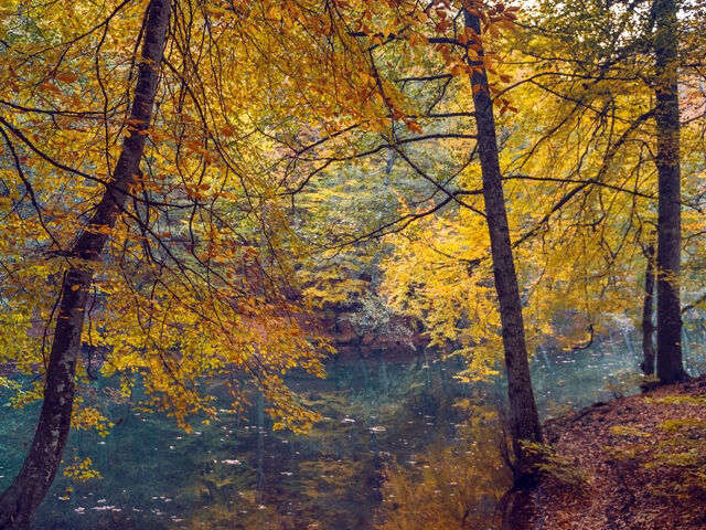 ŞİLE-AĞVA-ORMANYA-MAŞUKİYE-ABANT-YEDİGÖLLER