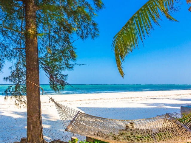 MUHTEŞEM ZANZİBAR TURU