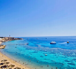 Sharm El Sheikh Turu