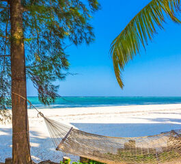 MUHTEŞEM ZANZİBAR TURU